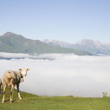 Hotel Le Viscos Saint-Savin  エクステリア 写真