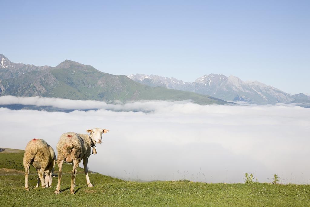 Hotel Le Viscos Saint-Savin  エクステリア 写真