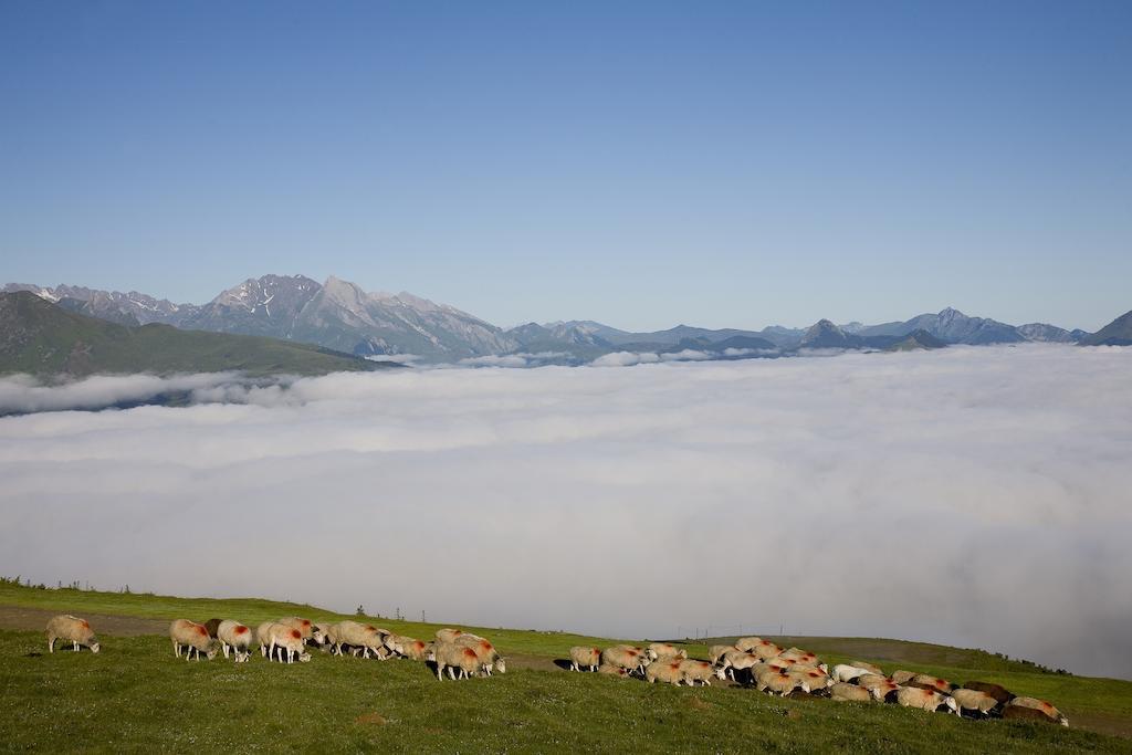 Hotel Le Viscos Saint-Savin  エクステリア 写真